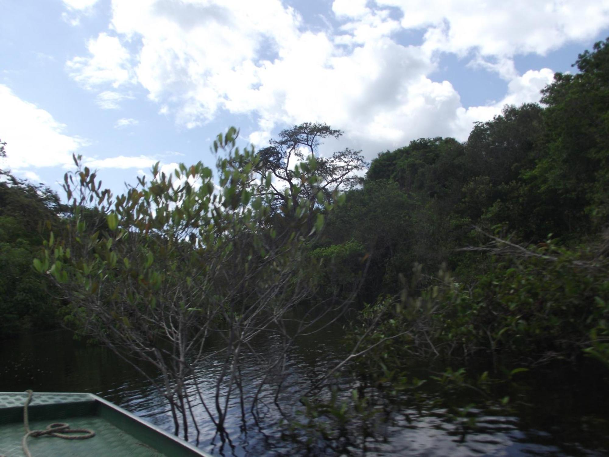 Amazon Arowana Lodge Careiro Екстер'єр фото