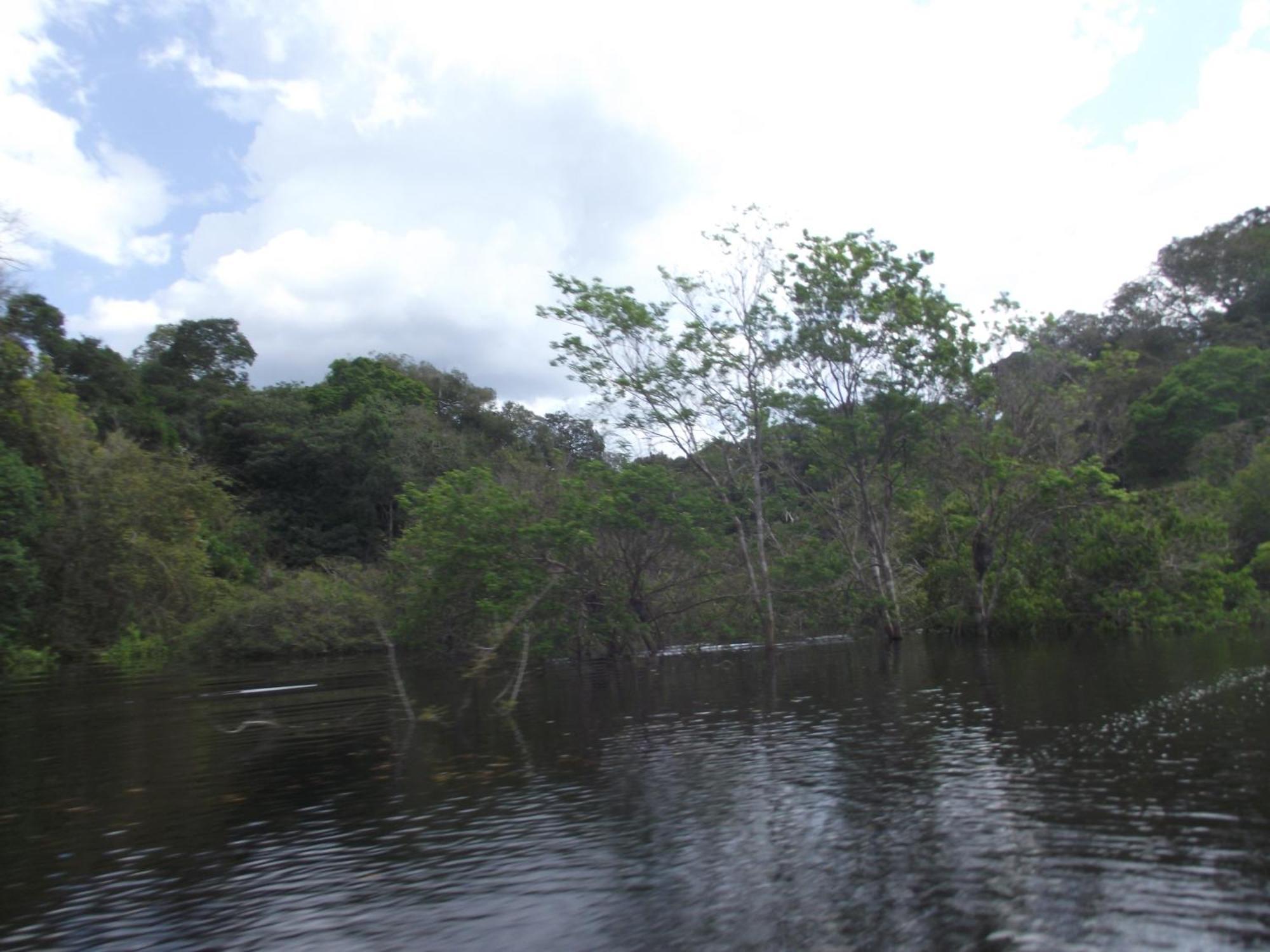 Amazon Arowana Lodge Careiro Екстер'єр фото