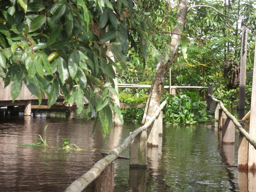 Amazon Arowana Lodge Careiro Екстер'єр фото